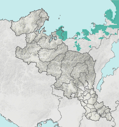 土壌雨量指数マップ