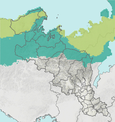 土壌雨量指数マップ