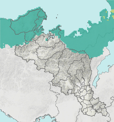 土壌雨量指数マップ